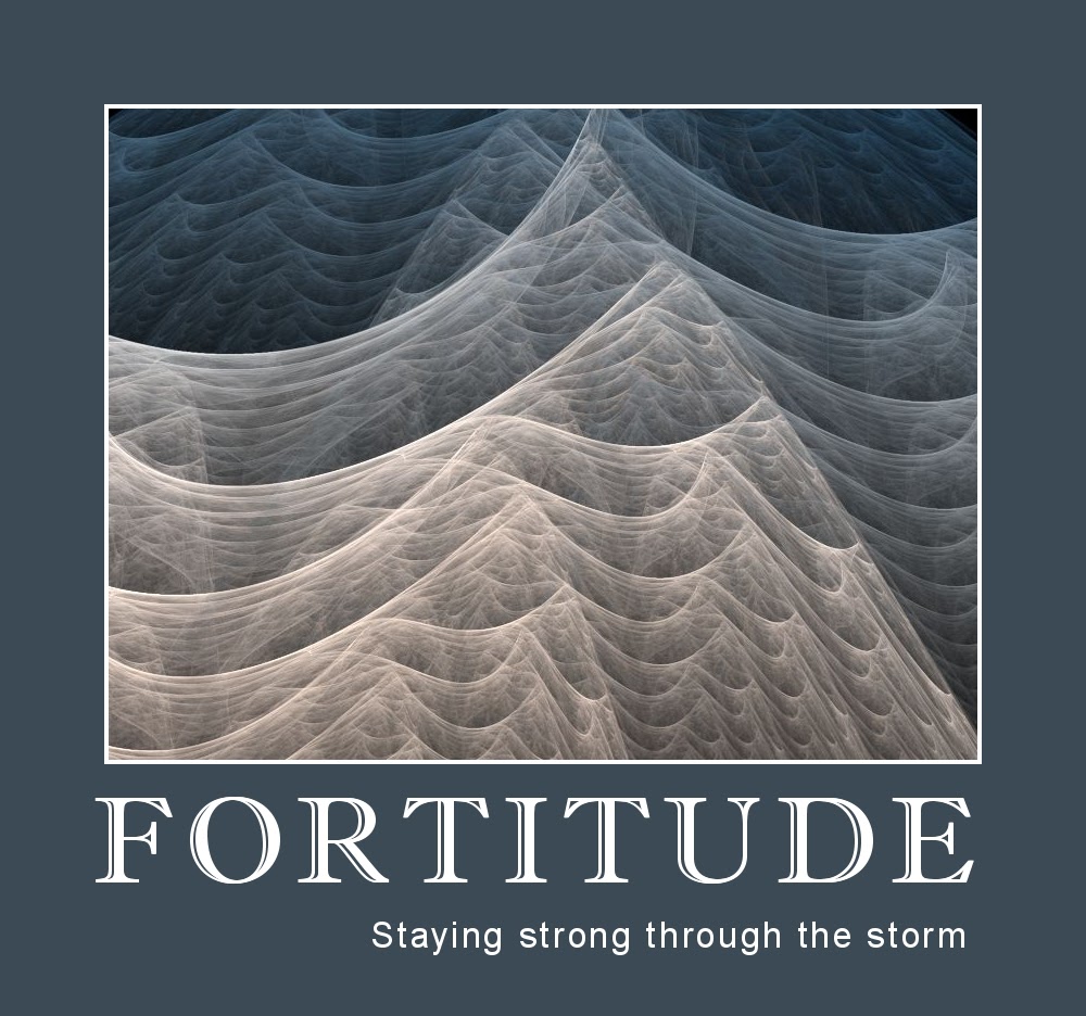 Read more about the article Fortitude