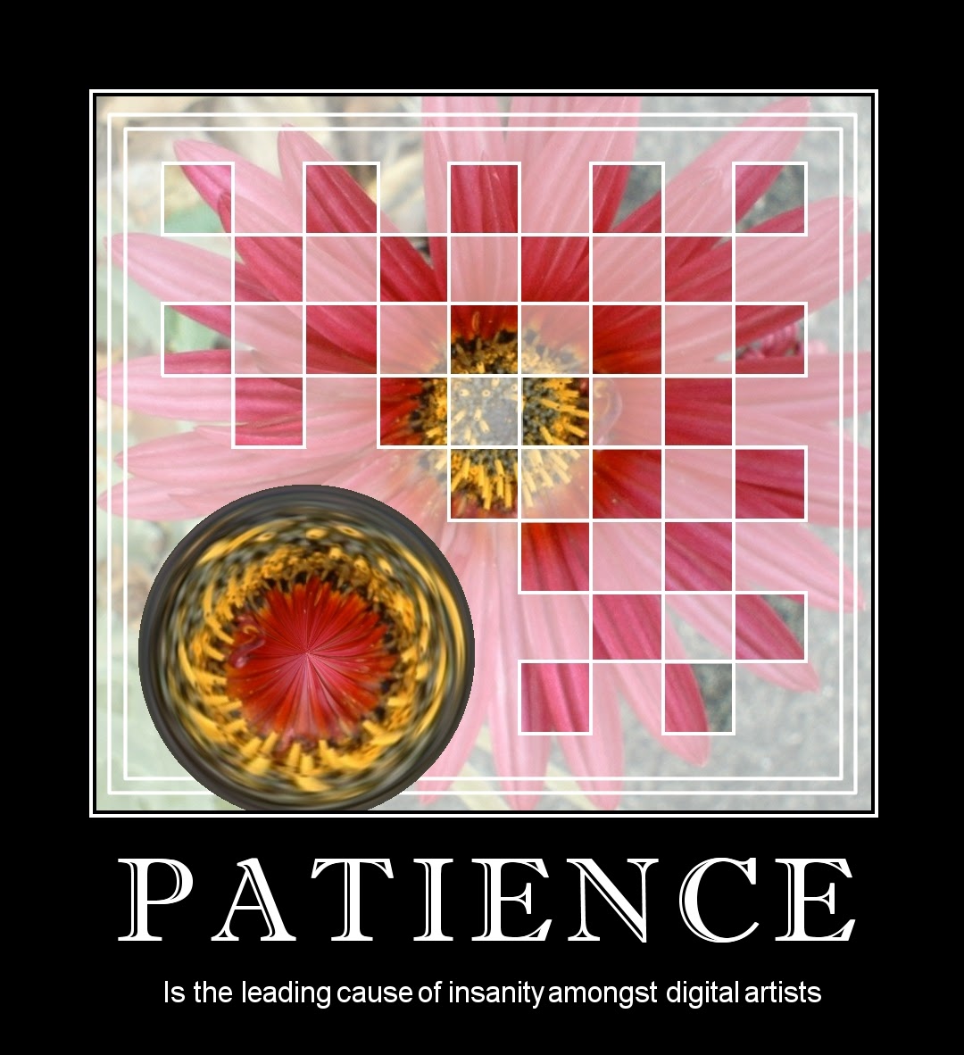 Read more about the article Patience