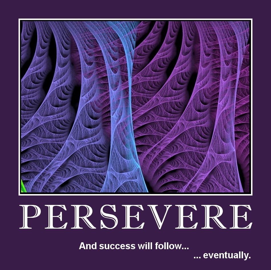 Read more about the article Persevere