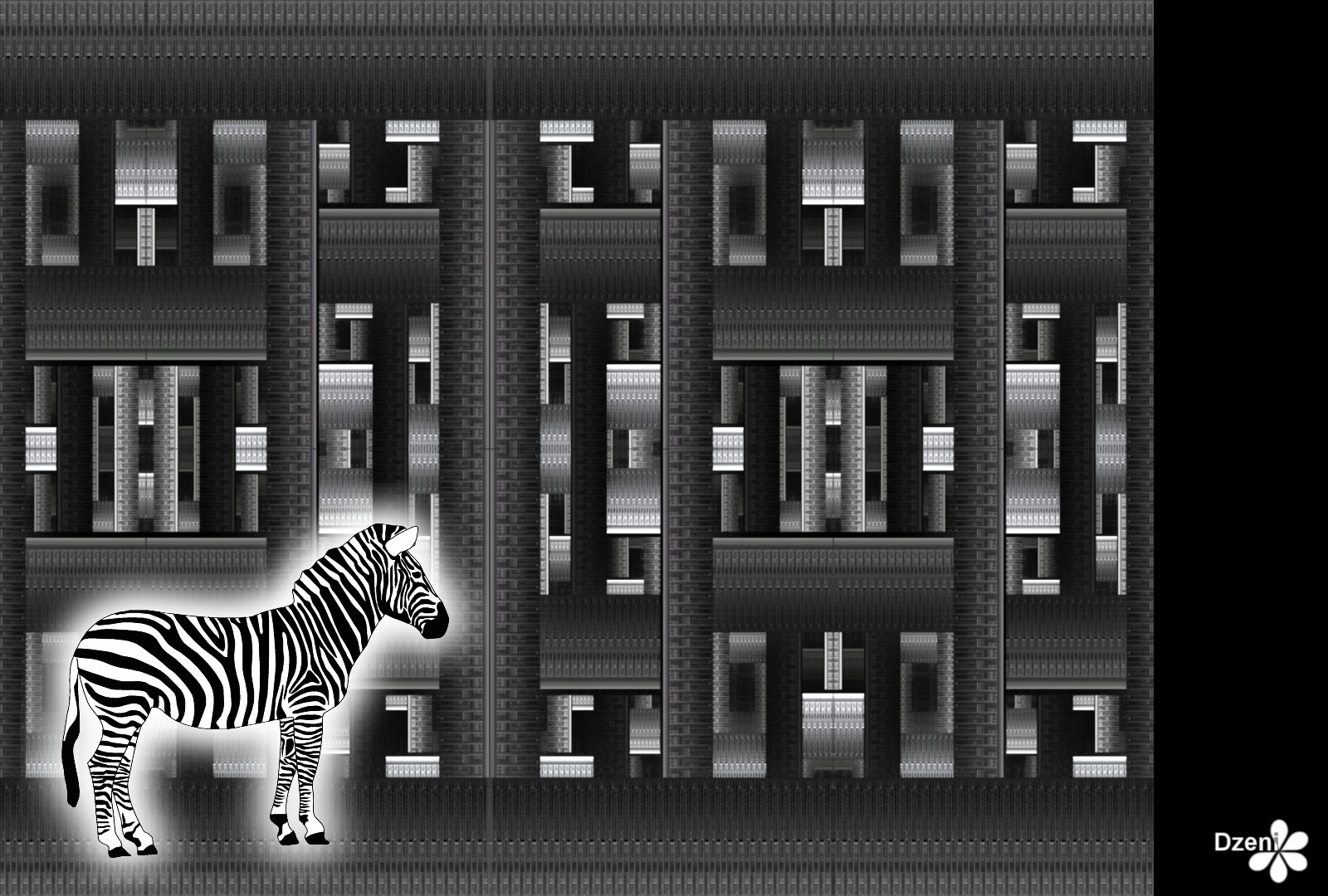 Read more about the article Zebra Maze