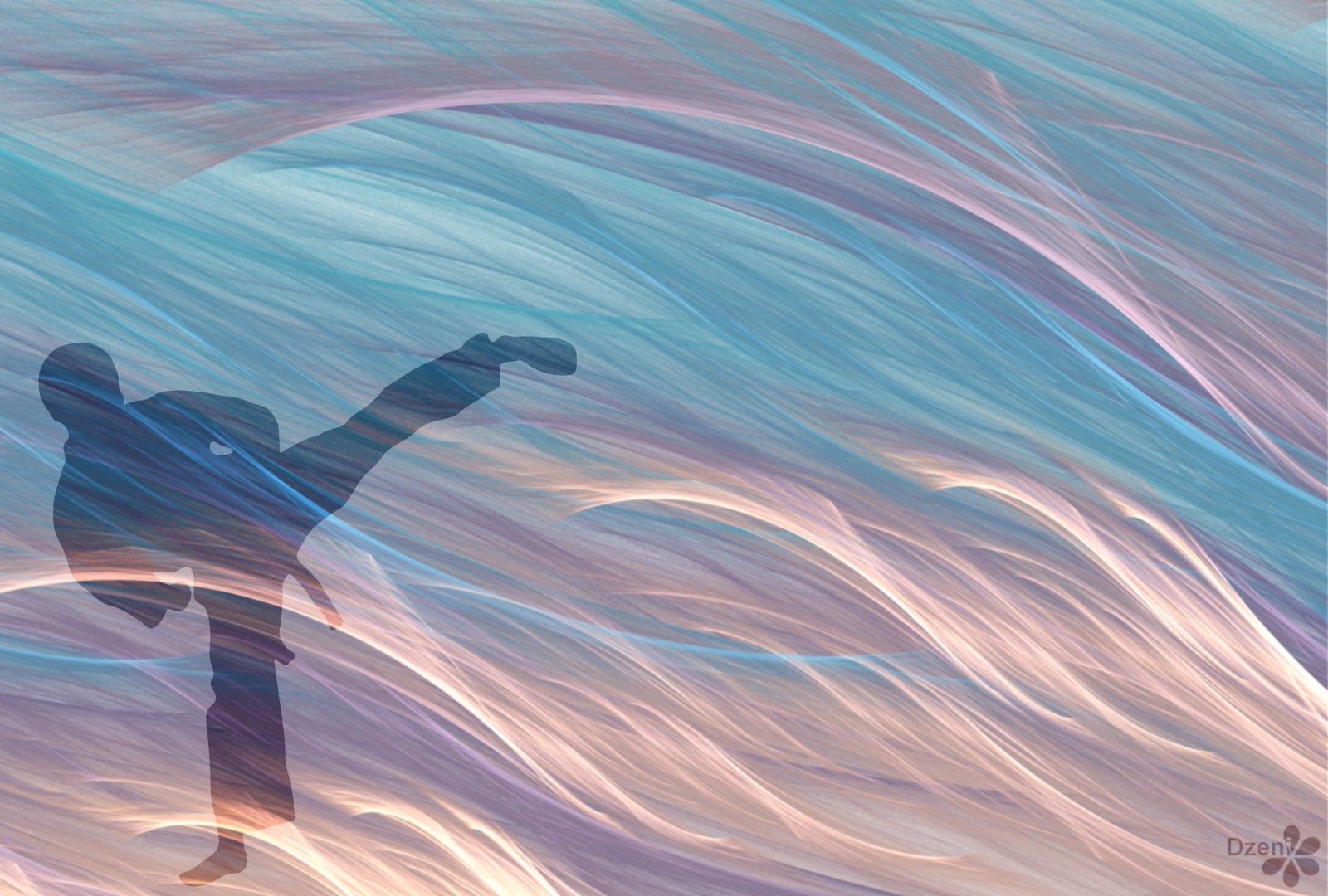 Read more about the article Shadow Fighter