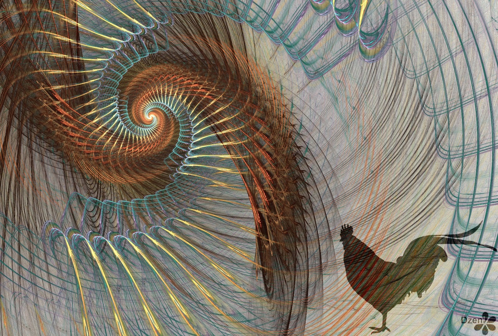 Read more about the article Cock Spiral
