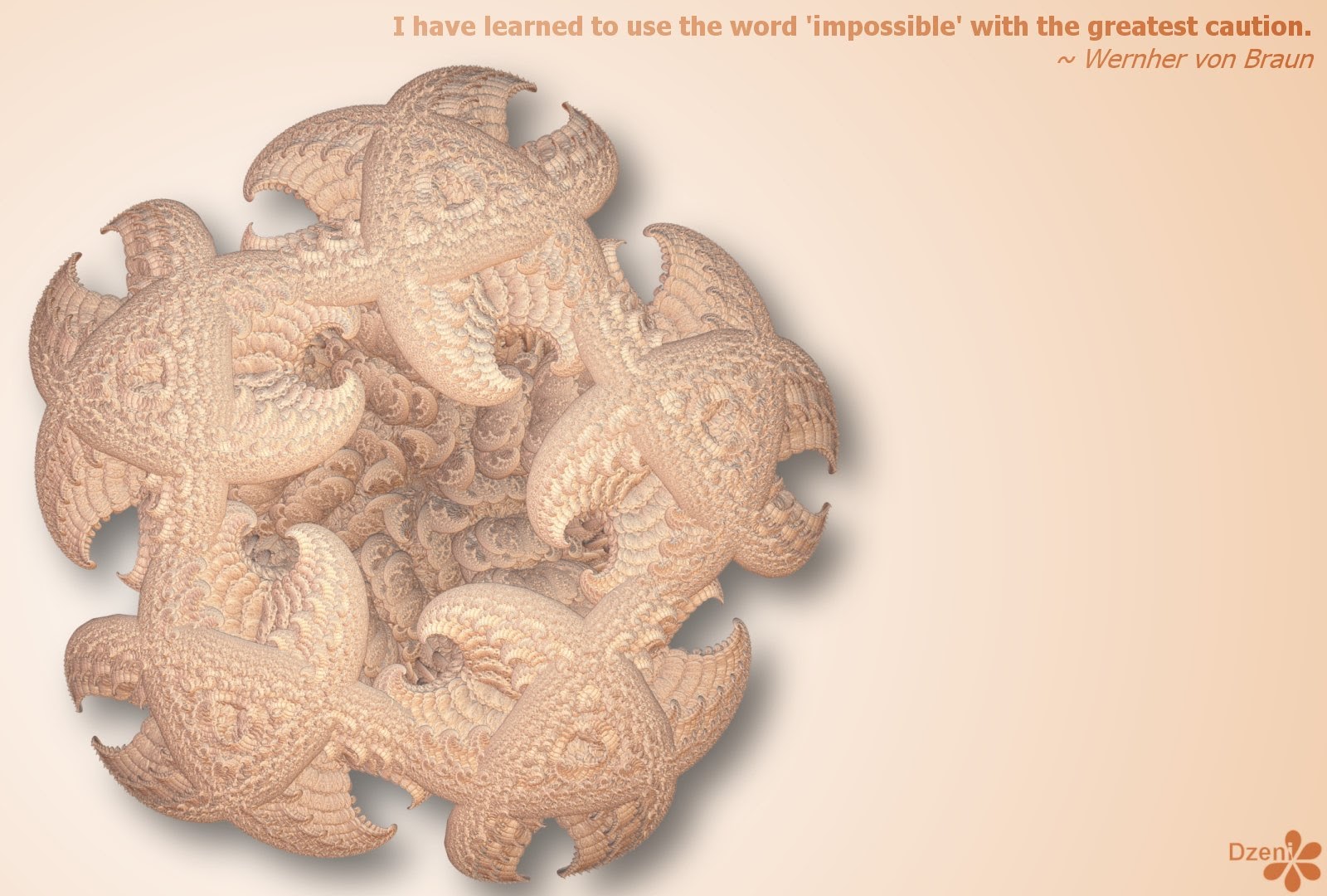 Read more about the article Impossible Starfish
