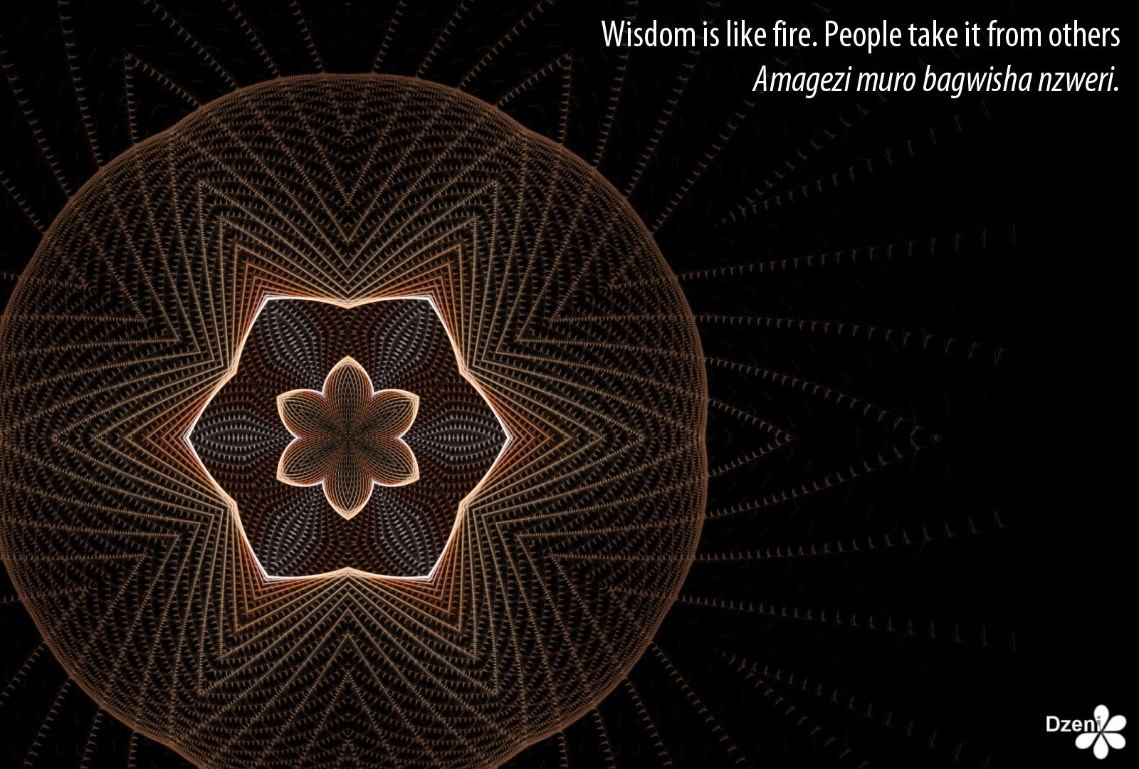 Read more about the article Wisdom Bowl