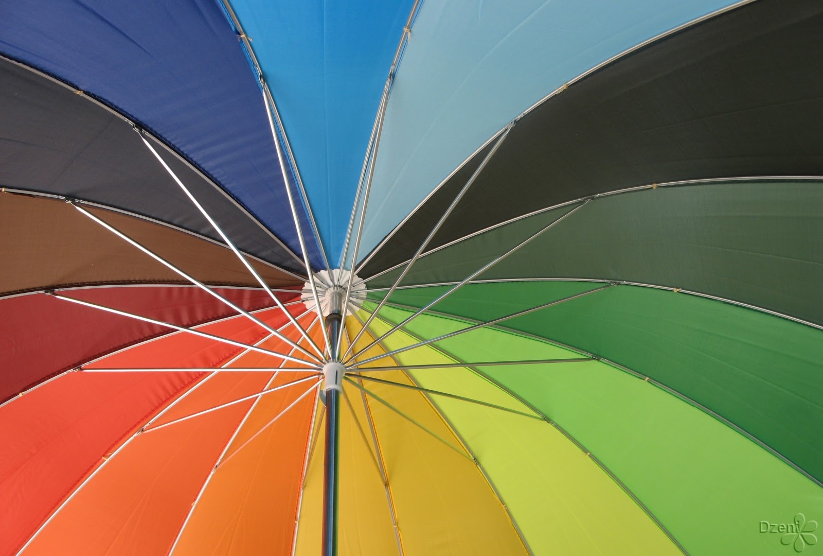 Read more about the article Coloured Brolly