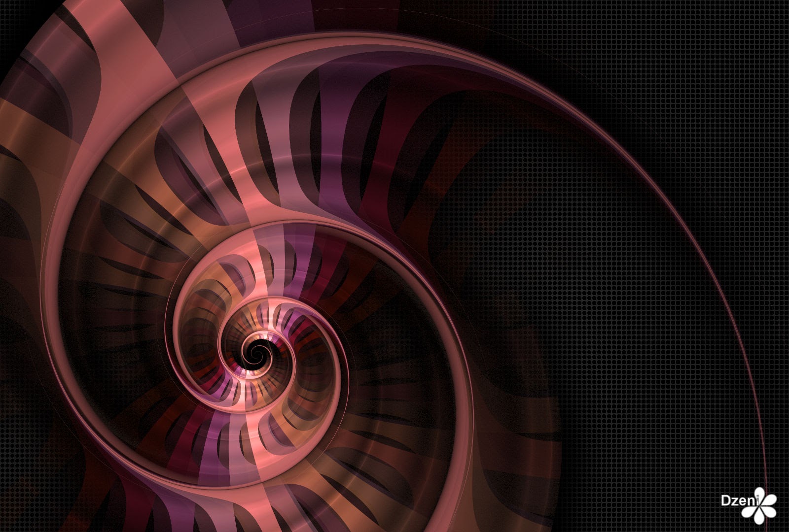 Read more about the article Spiral Sophistication