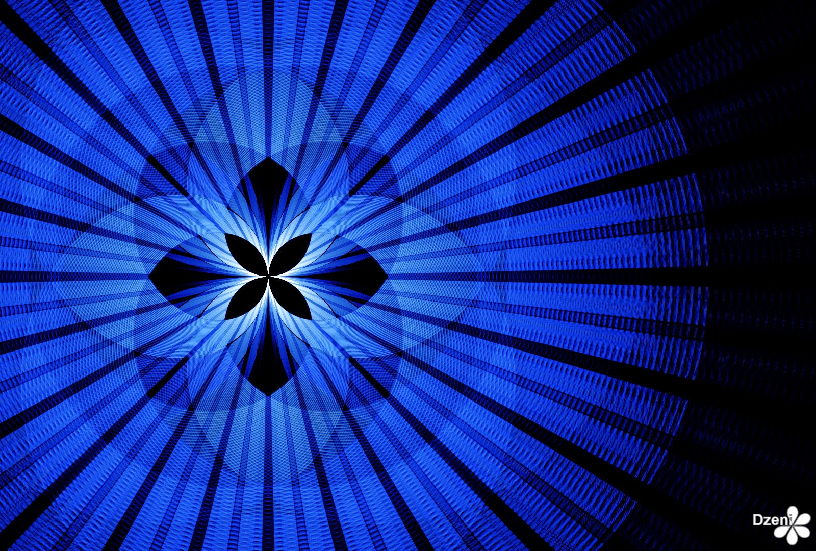 Read more about the article Shinning Flower