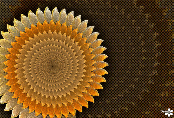 Read more about the article Bleached Sunflower