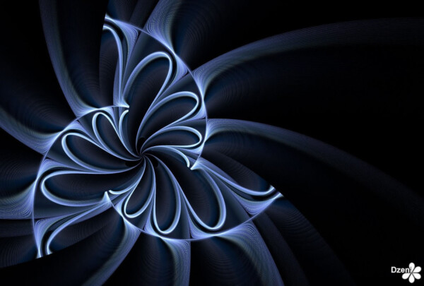 Read more about the article Sea Flower Spiral