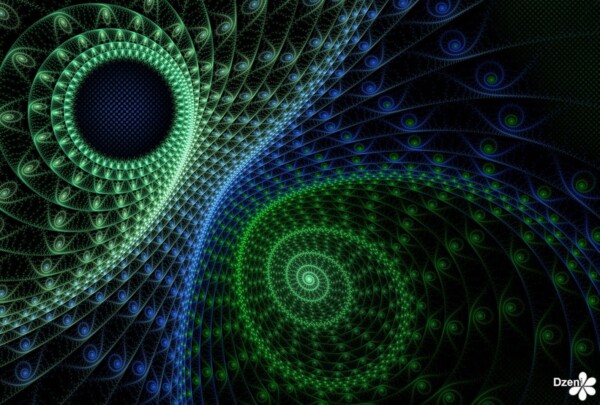 Read more about the article Frond Flow