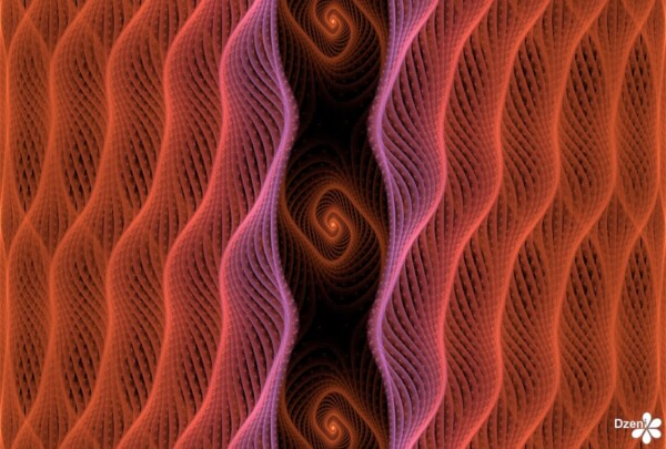 Read more about the article Curtain Spiral View
