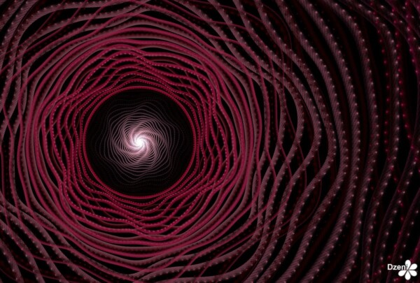 Read more about the article Wave Rose Portal