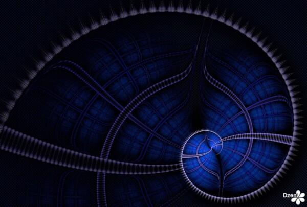Read more about the article Delicate Spiral Joy