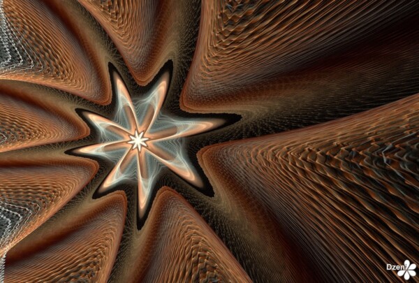 Read more about the article Cosy Star