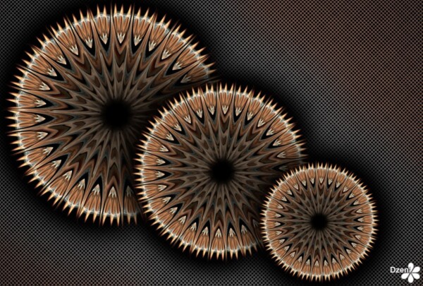 Read more about the article Dandelion Bombs