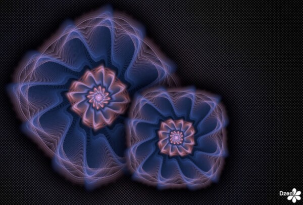 Read more about the article Double Dawn Flower