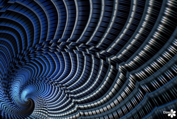 Read more about the article Feather Storm