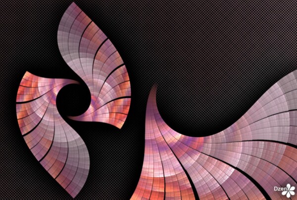 Read more about the article Flamingo Flame