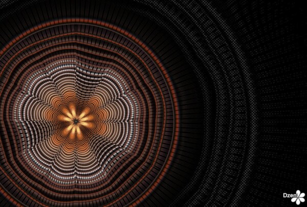 Read more about the article Flower Coaster