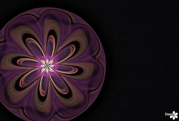 Read more about the article Flower Weight