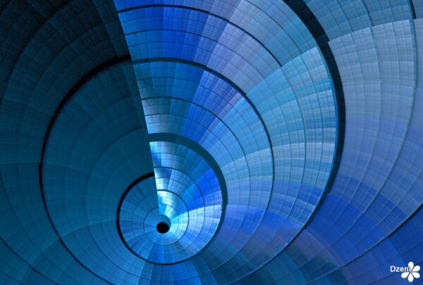 Read more about the article Sea Shell Circle