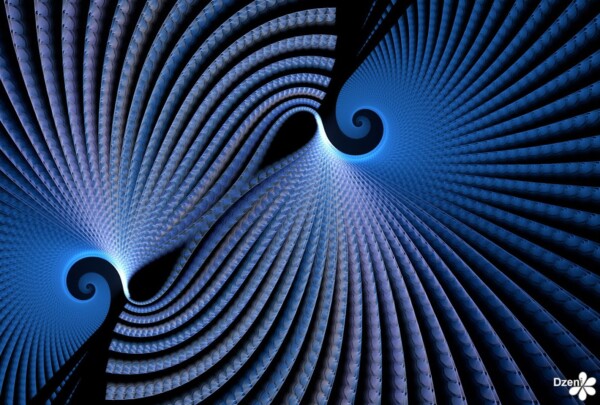 Read more about the article Fan Fiesta