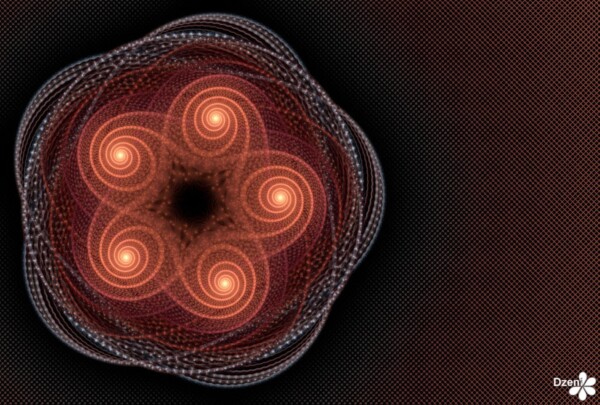 Read more about the article Luminous Spiral Starfish