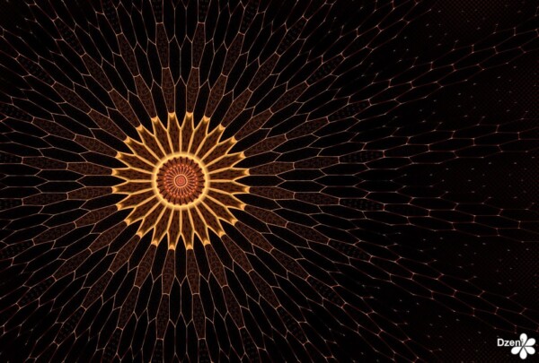 Read more about the article Flower Cells