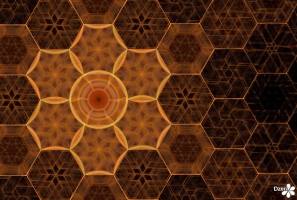 Read more about the article Honey Flower