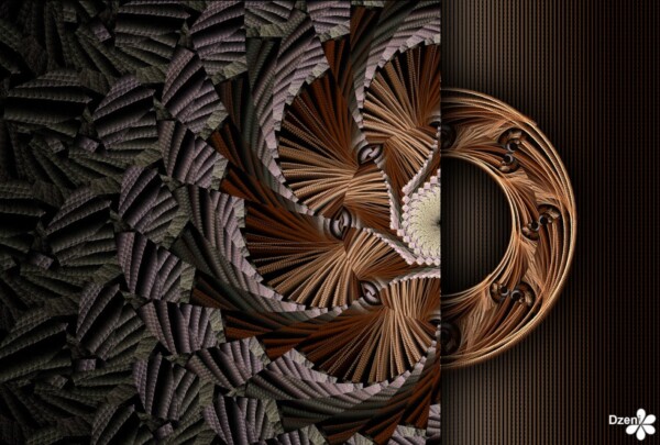 Read more about the article Magical Ring Reveal