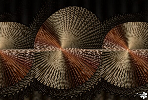 Read more about the article Wonky Wheels