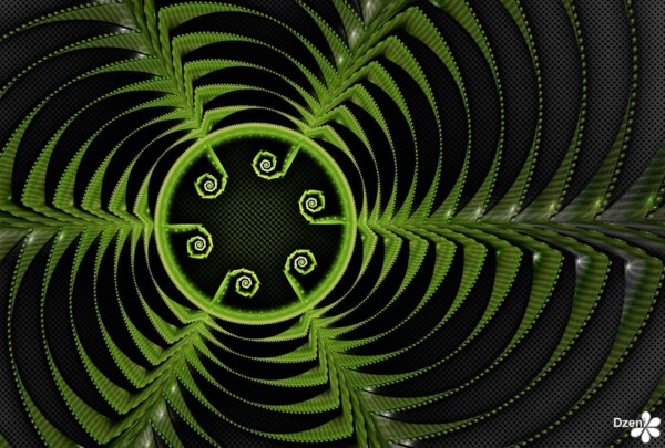 Read more about the article Fern Disc Hole