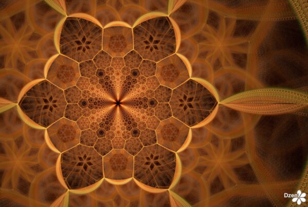 Read more about the article Golden Comb