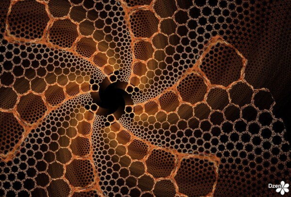 Read more about the article Star Combs