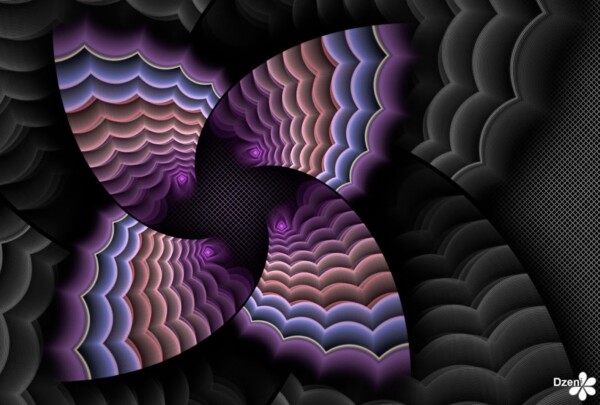 Read more about the article Petal Wings