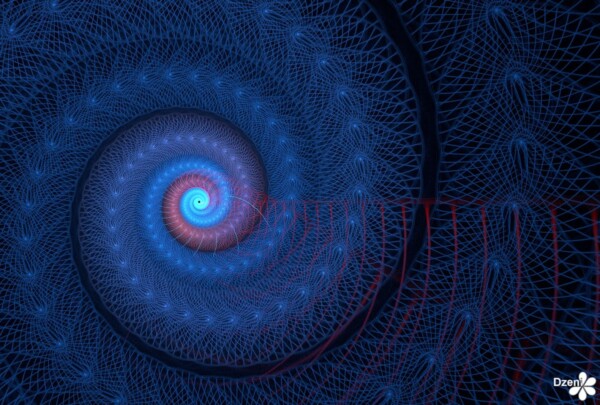 Read more about the article Curled Up Bristles