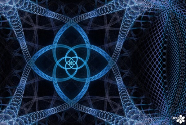 Read more about the article Night Time Spring Flower