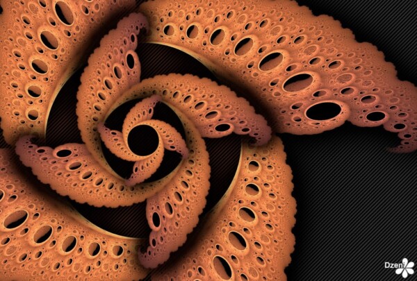 Read more about the article Simple Spinner